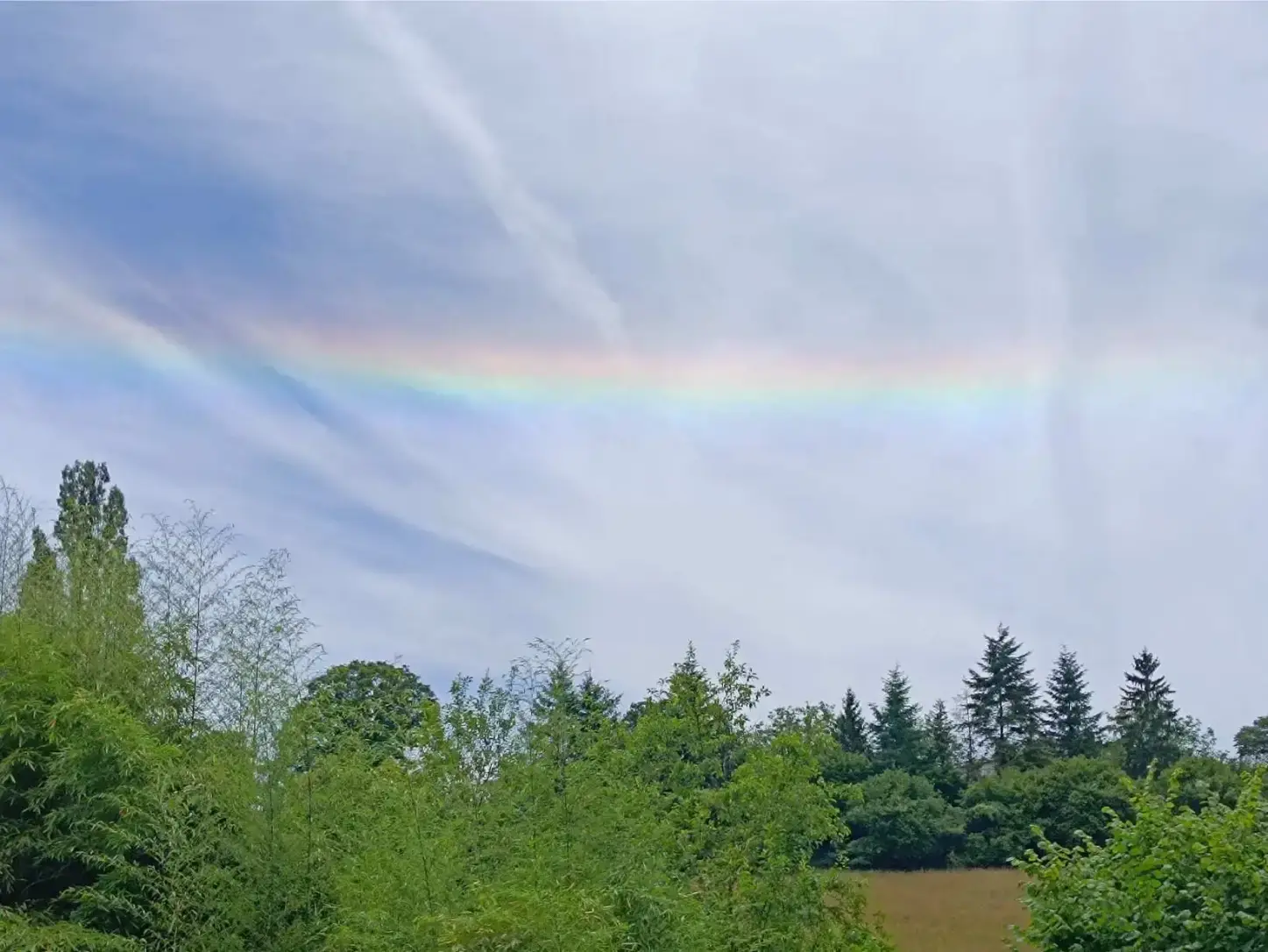 La Fontaine du Mas — photo 4