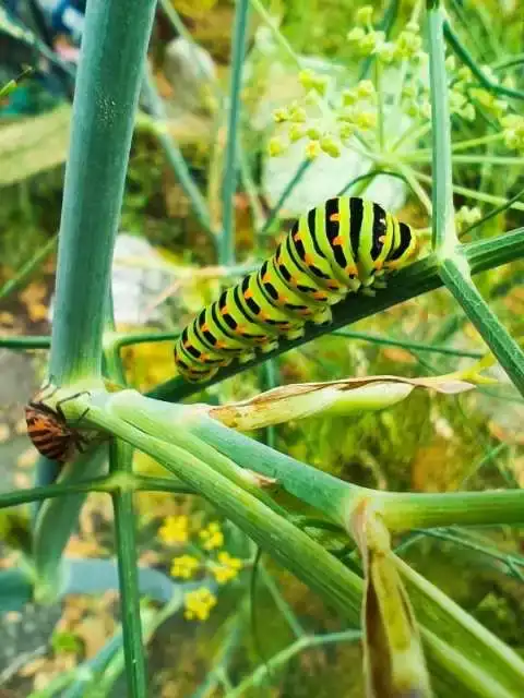 La Fontaine du Mas — photo 80