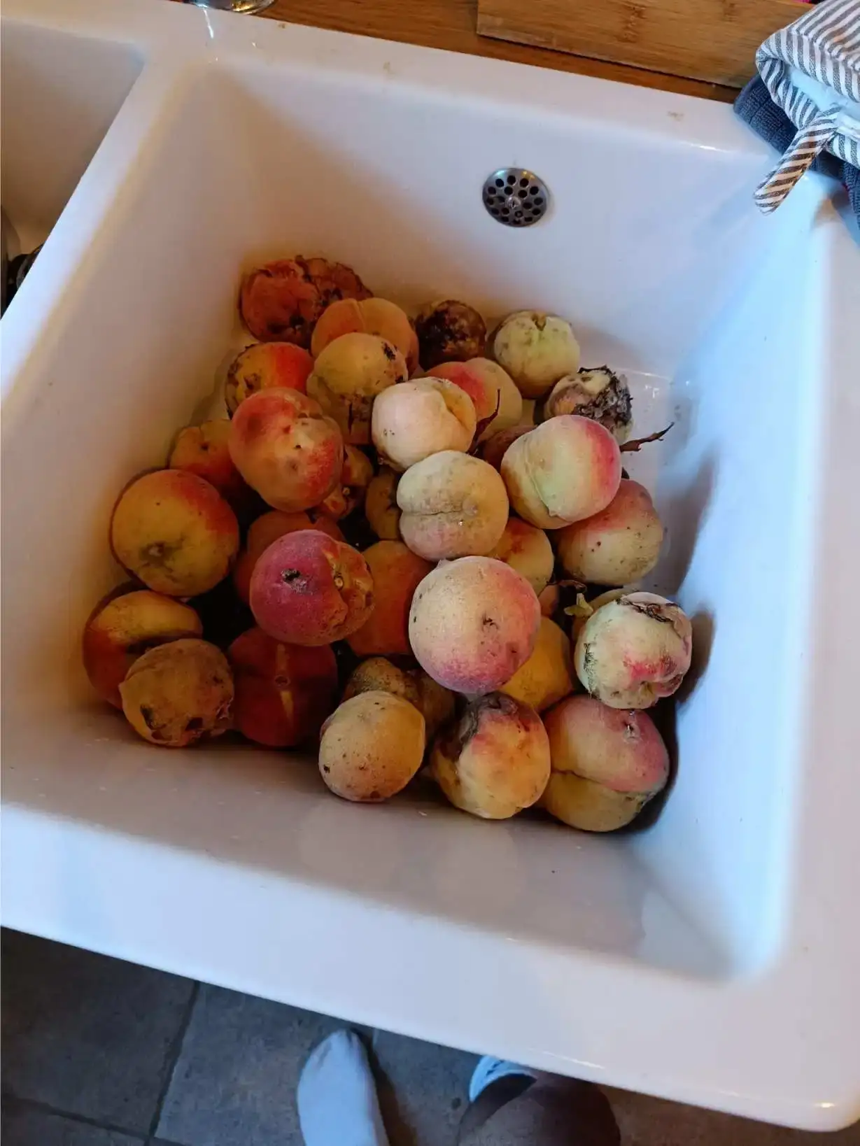 La Fontaine du Mas — photo 56