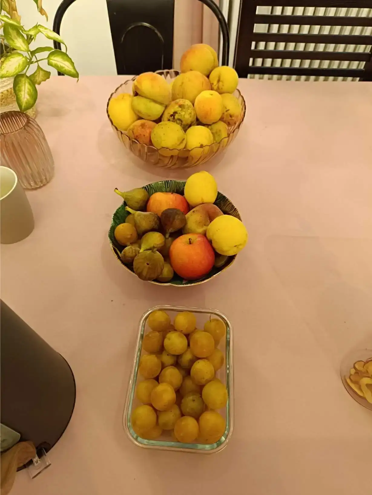 La Fontaine du Mas — photo 57