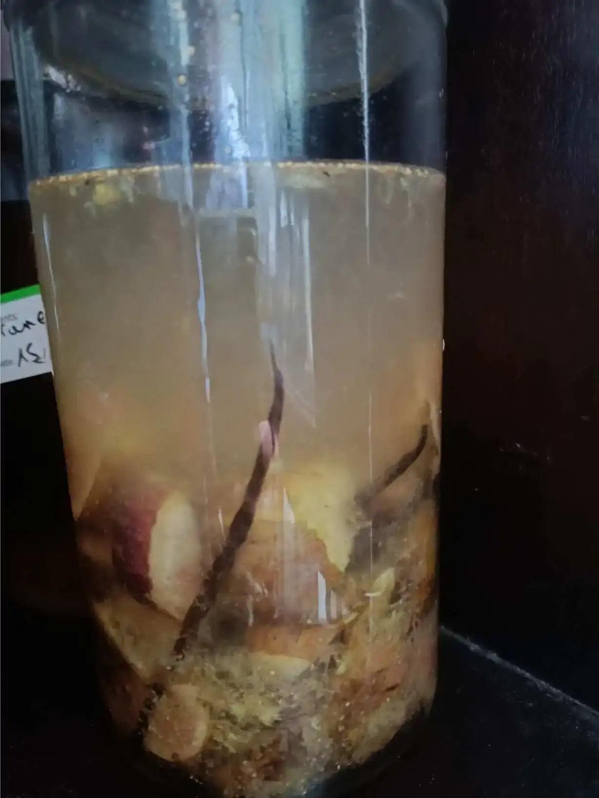 La Fontaine du Mas — photo 26