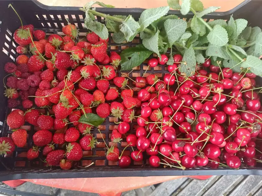 La Fontaine du Mas — photo 33