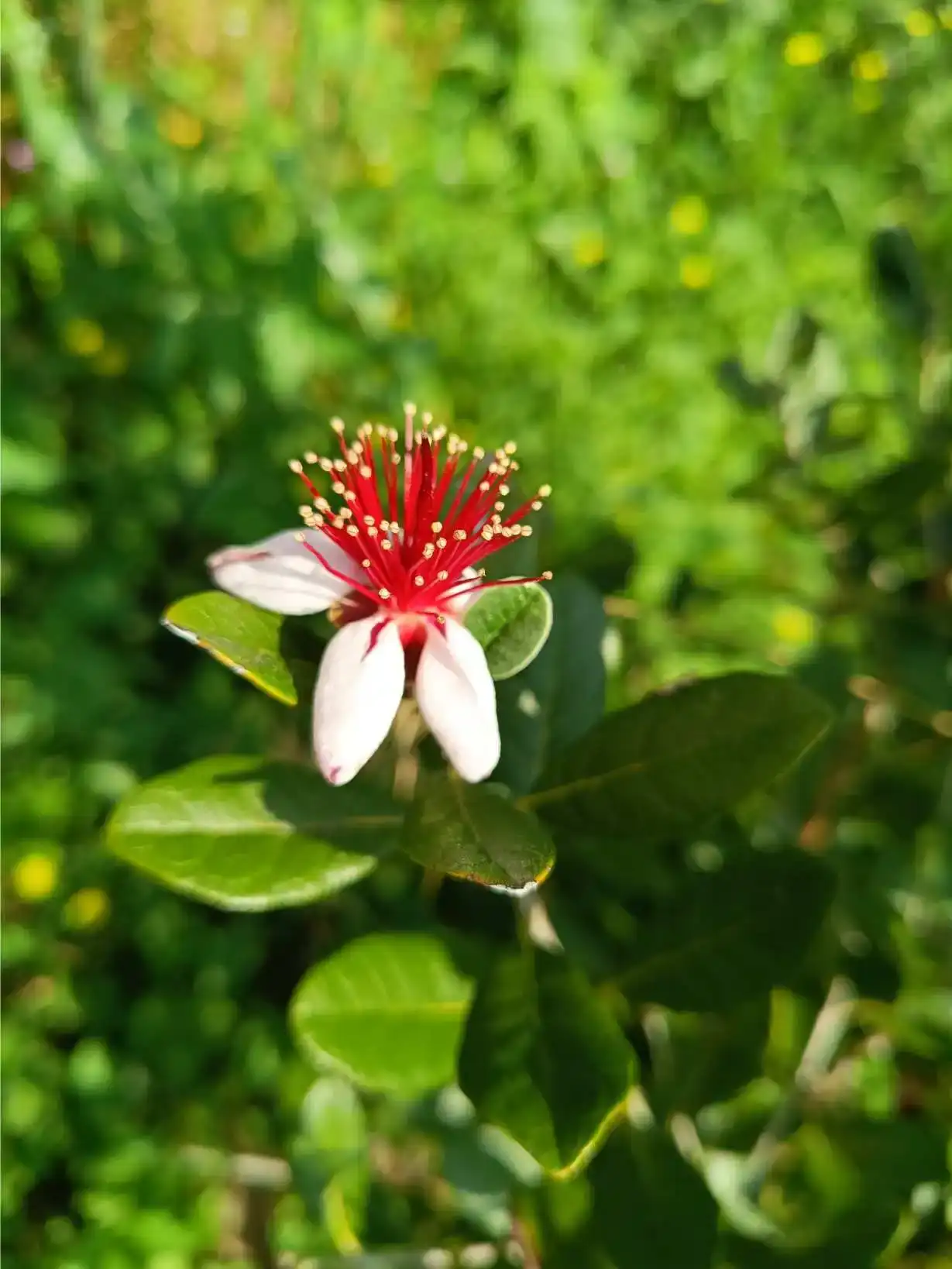 La Fontaine du Mas — photo 3
