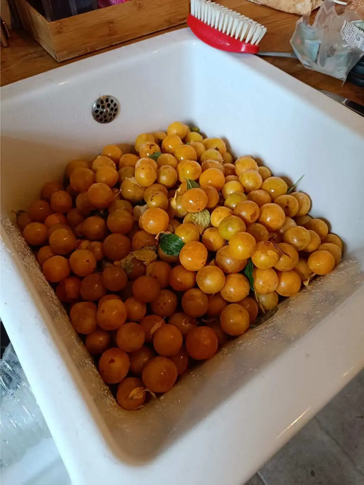 La Fontaine du Mas — photo 12