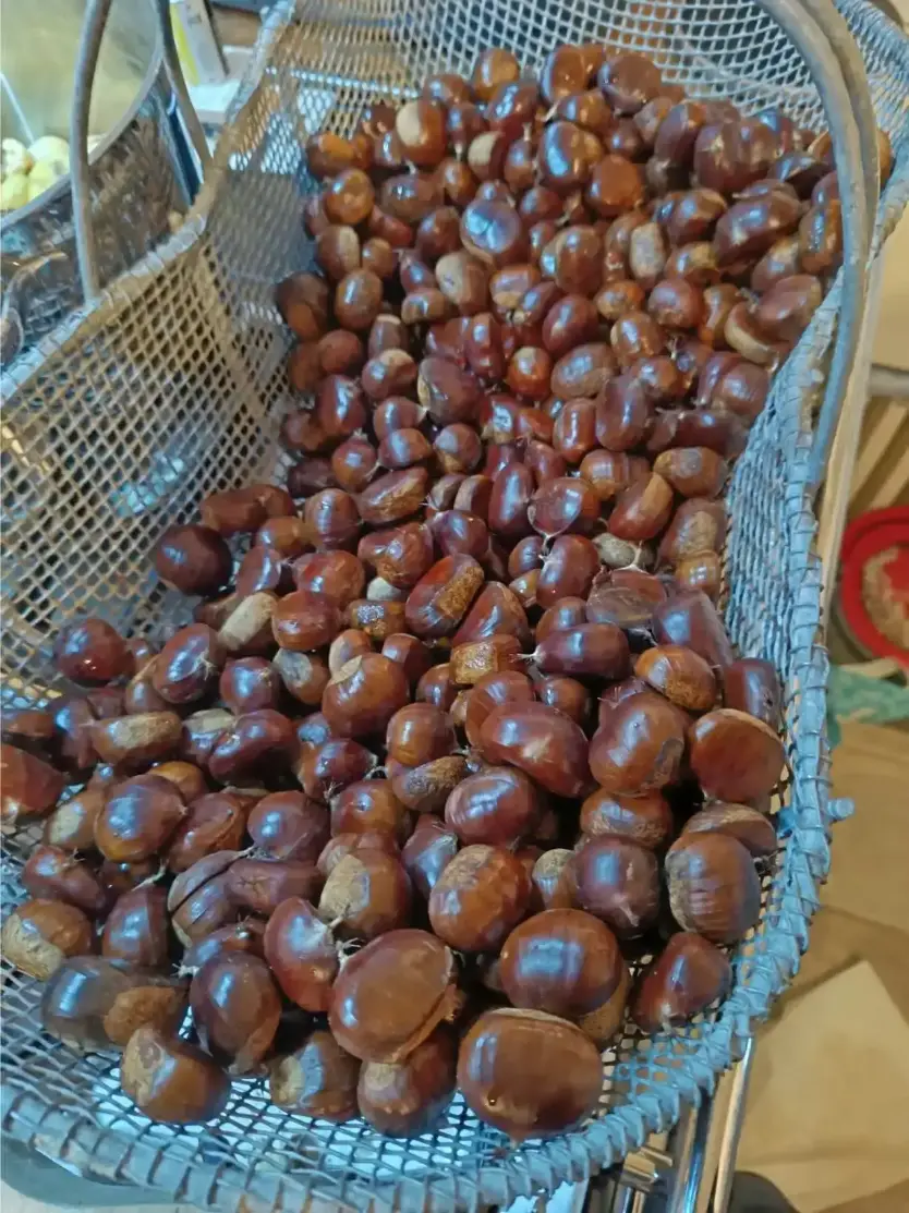 La Fontaine du Mas — photo 21