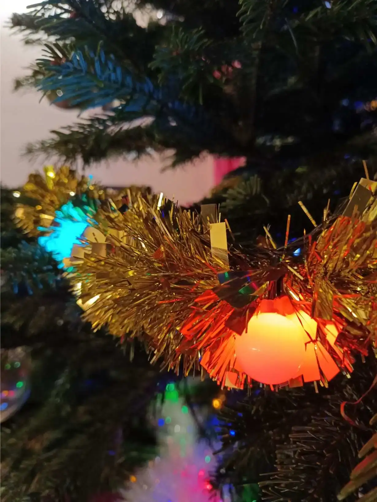 La Fontaine du Mas — photo 70