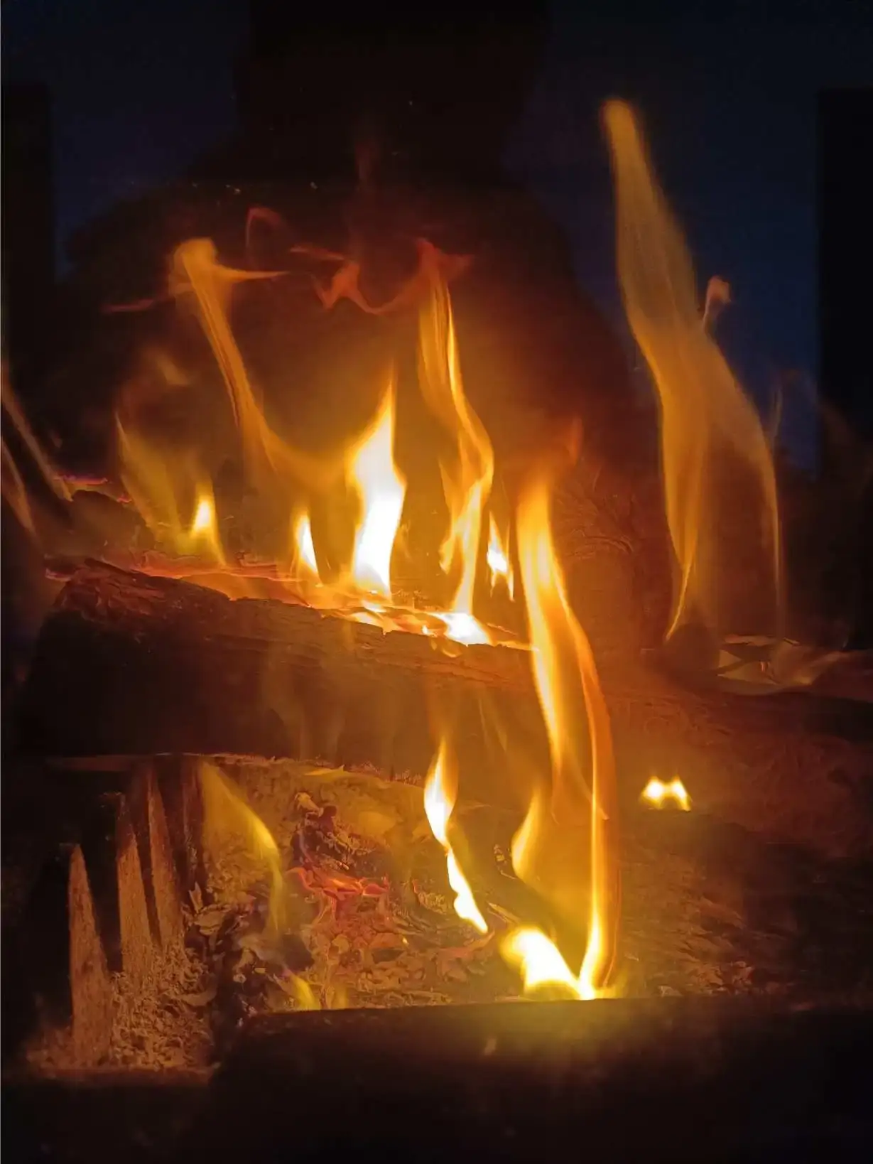 La Fontaine du Mas — photo 68