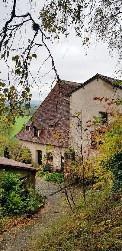 La Fontaine du Mas — photo 15