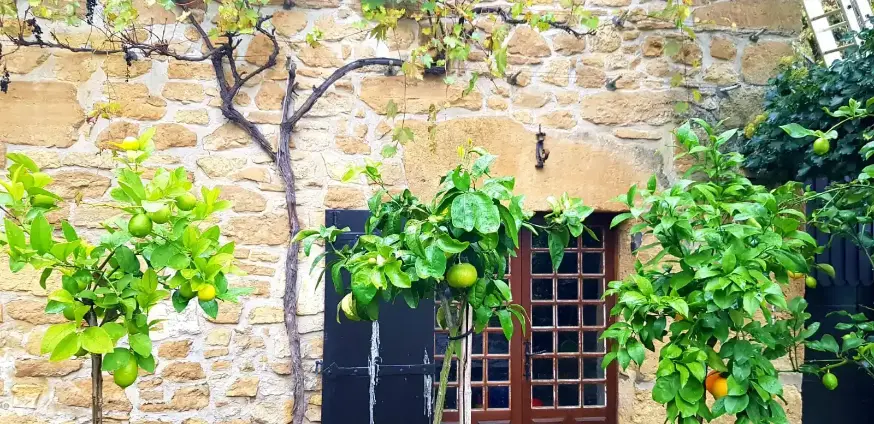 La Fontaine du Mas — photo 44