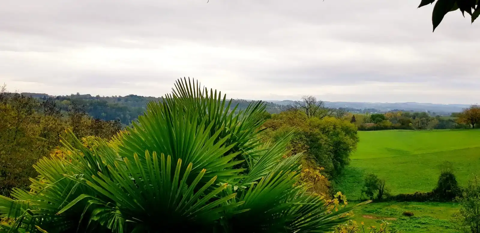 La Fontaine du Mas — photo 5