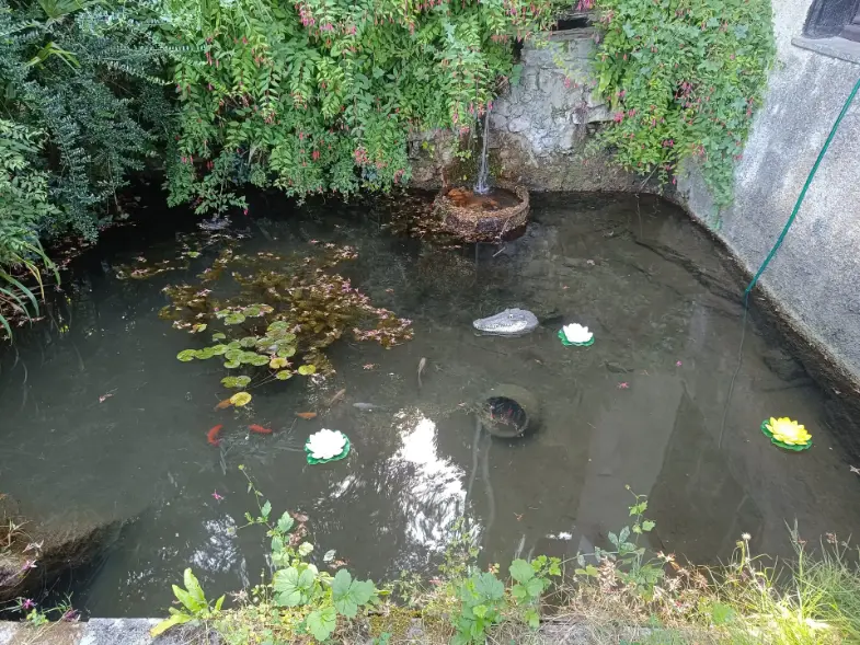 La Fontaine du Mas — photo 19