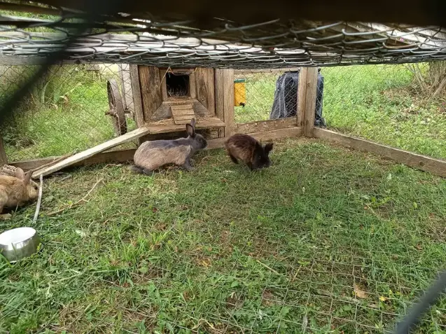 La Fontaine du Mas — photo 28
