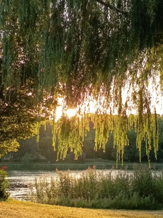 La Fontaine du Mas — photo 36