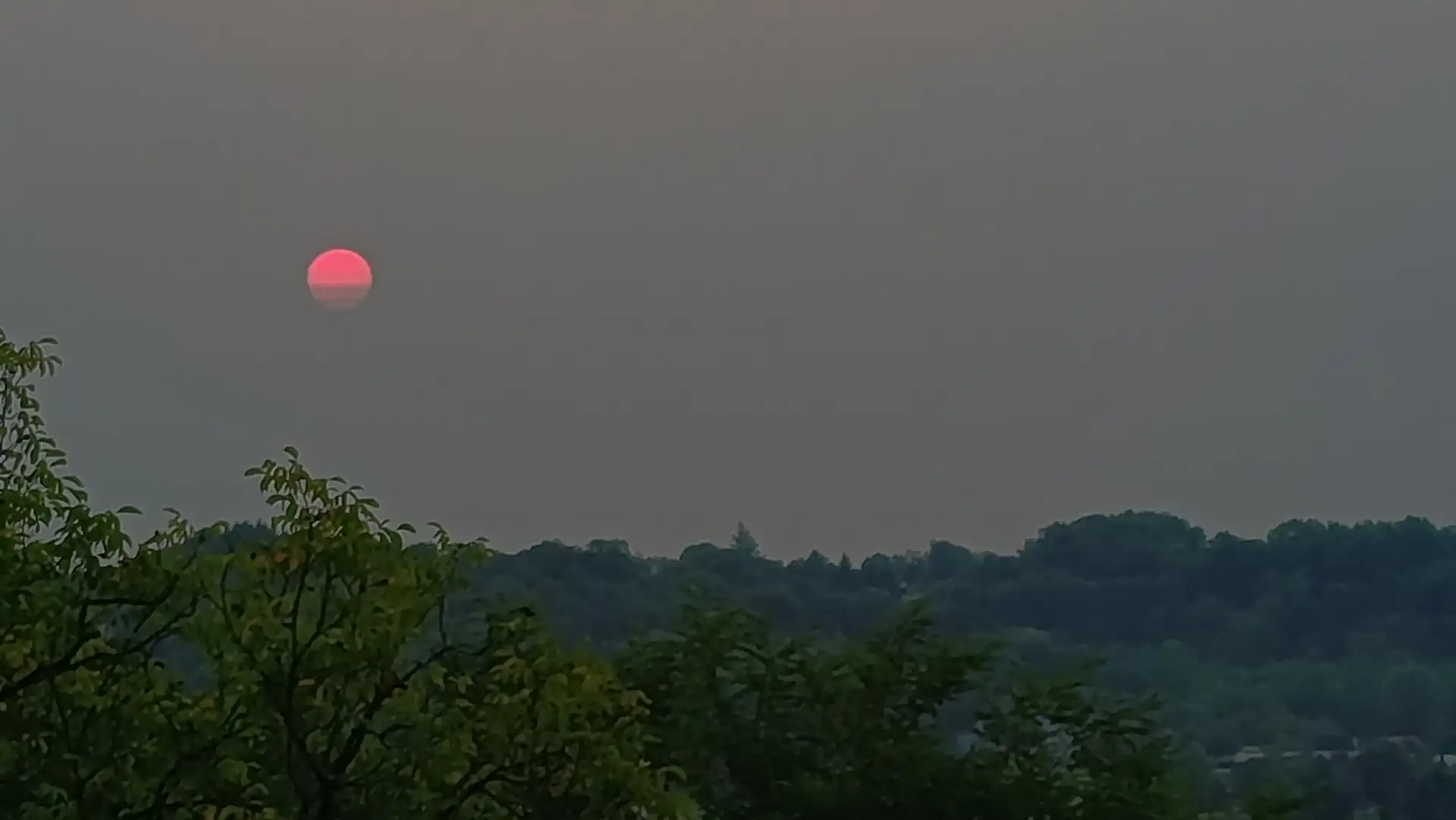 La Fontaine du Mas — photo 64