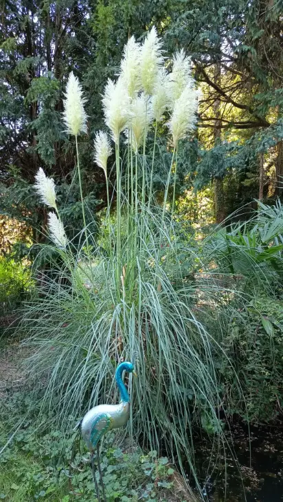 La Fontaine du Mas — photo 92