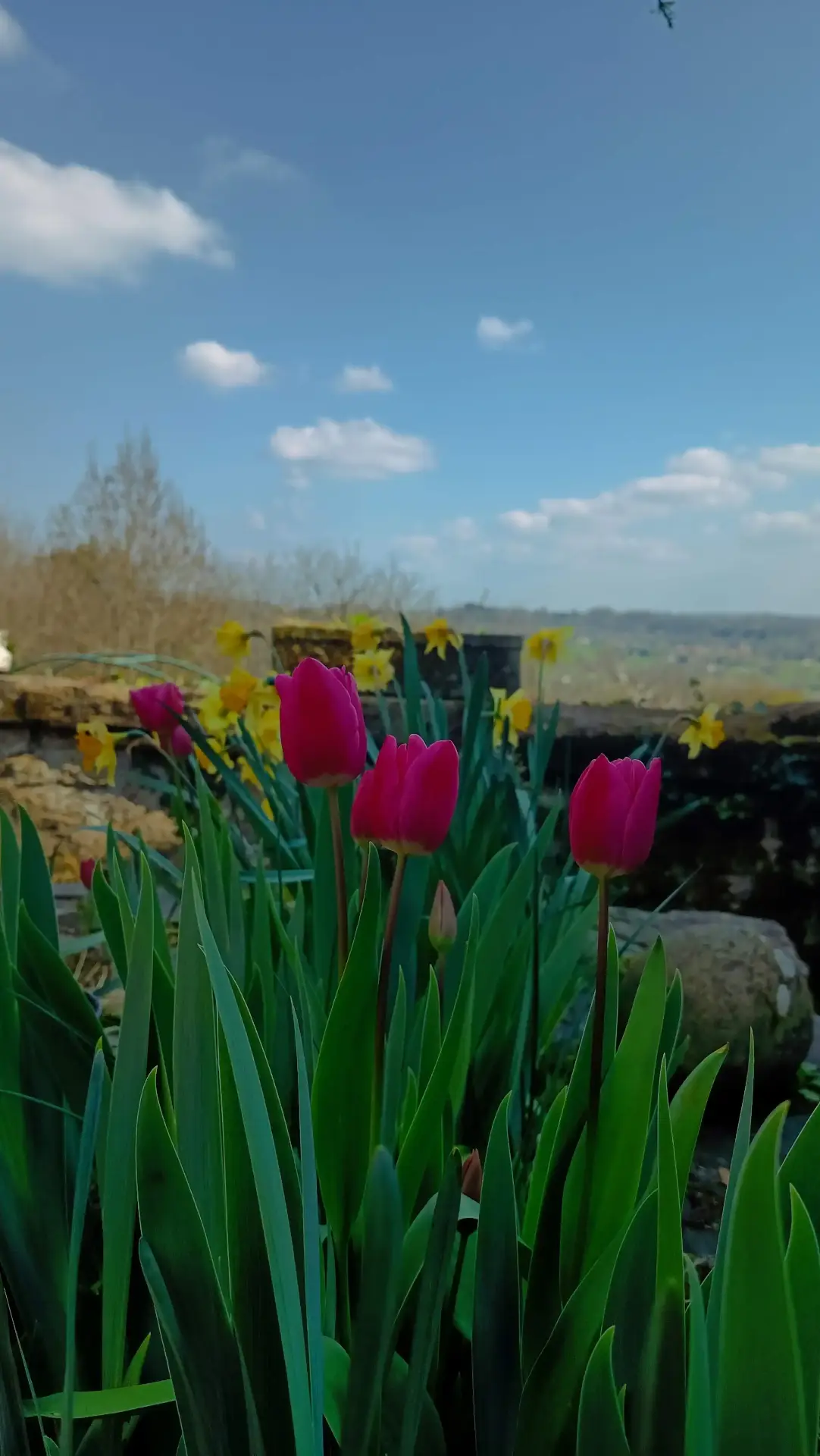 La Fontaine du Mas — photo 22