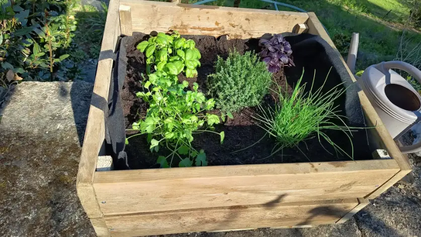 La Fontaine du Mas — photo 67