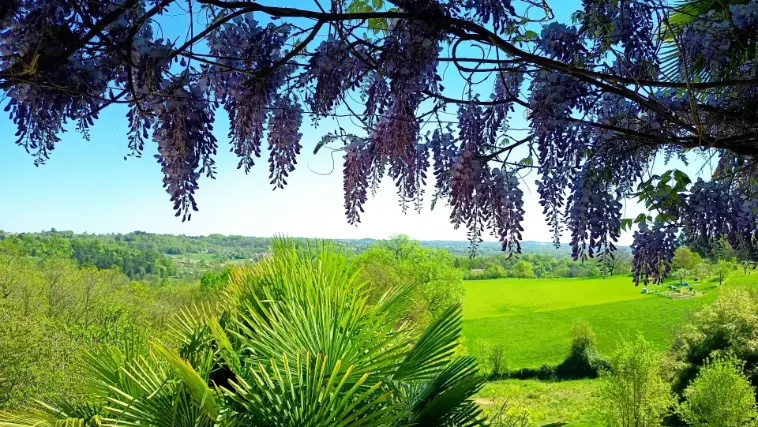 La Fontaine du Mas — photo 34