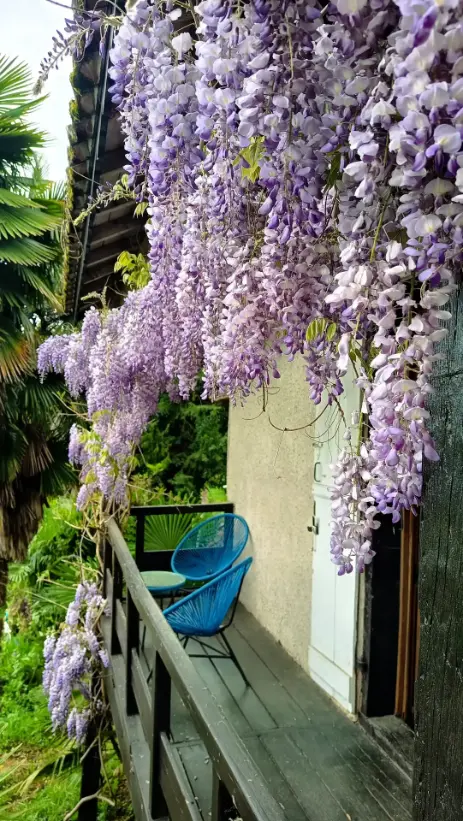 La Fontaine du Mas — photo 47