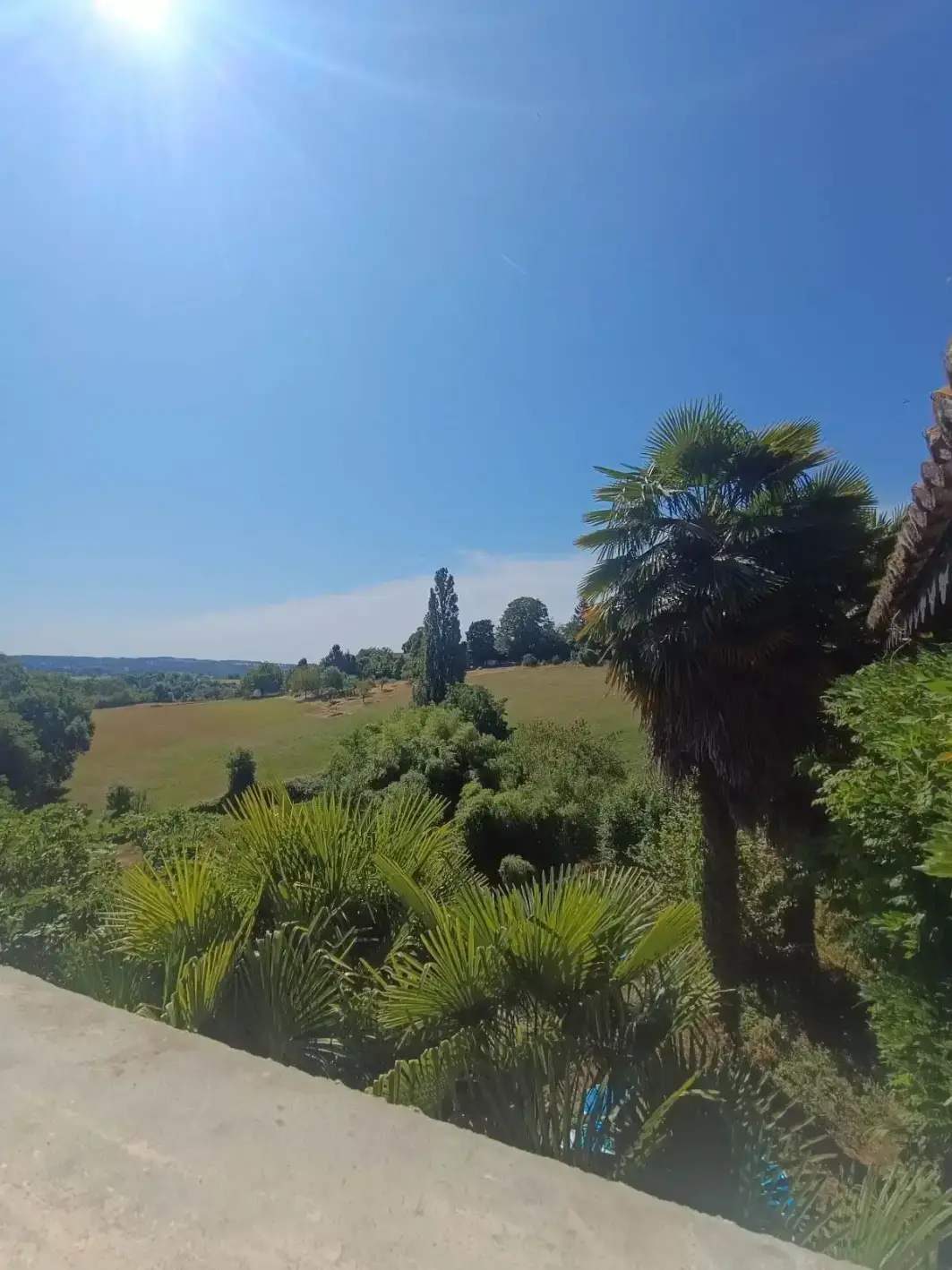 Chambre Pampa — vue fenêtre sur herbes de la pampa